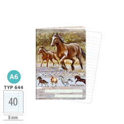 1598-0414 Sešit A6, 40 listů, TYP 644 Wild horses