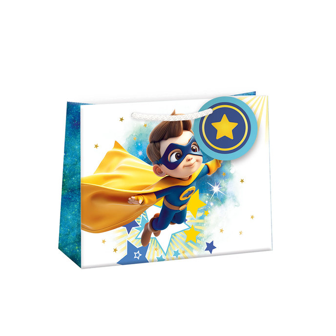 0767-0817 Dárková taška LESKLÁ