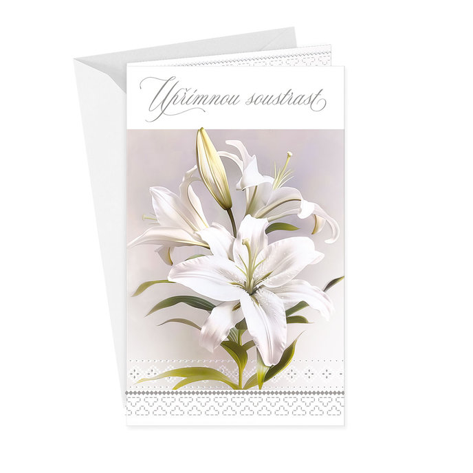 14-639 Blahopřání kondolenční CZ