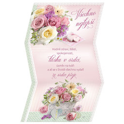 15-7081 Greeting card CZ