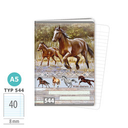1592-0414 Sešit A5, 40 listů, TYP 544 Wild horses