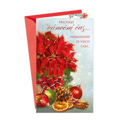 11-6398 Christmas greeting card CZ