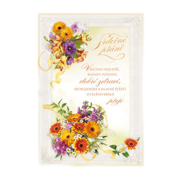 15-8015 nGreeting card CZ