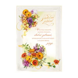 15-8015 nGreeting card CZ