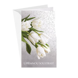 14-625 Condolences card CZ