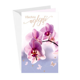 15-6539 Greeting card CZ