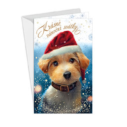 11-6497 Christmas greeting card CZ