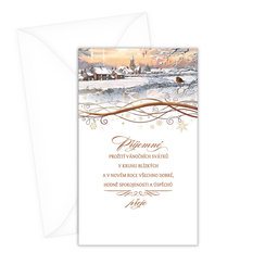 N-1-065 Christmas greeting card CZ