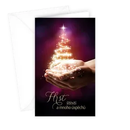 11-780 Christmas greeting card CZ