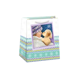 0843-0409 Gift bag PUV