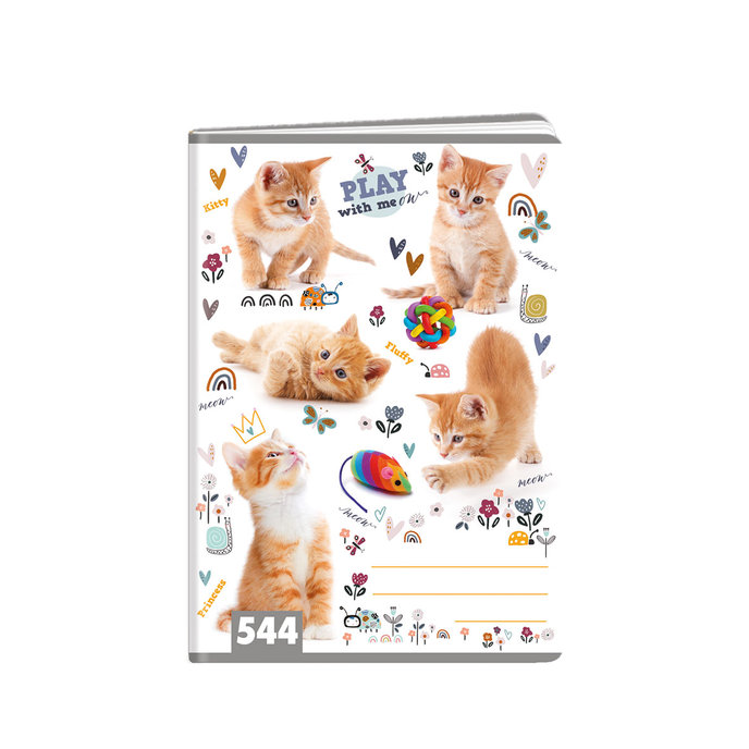 1593-0330 Sešit A5, 20 listů, TYP 523 Cats