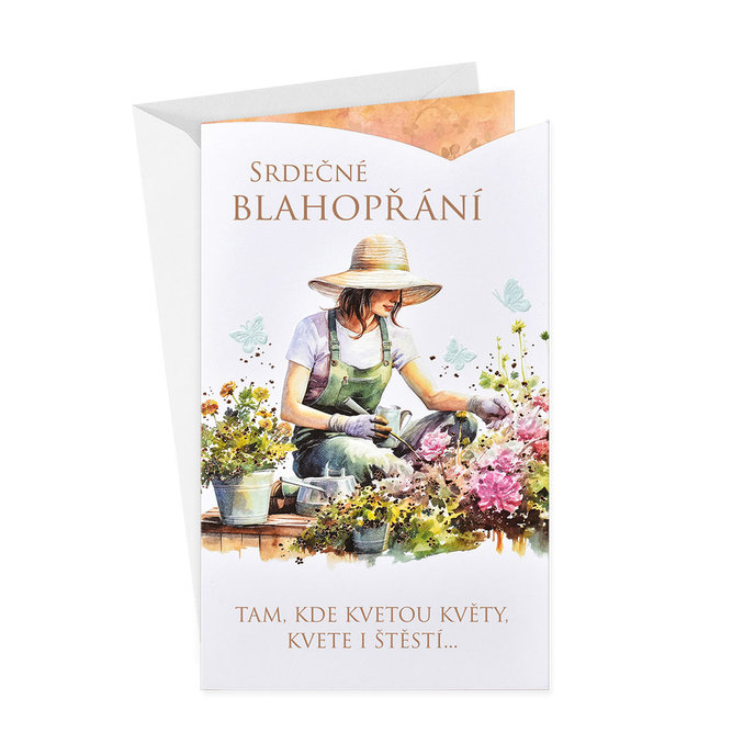 15-6587 Blahopřání gratulační CZ