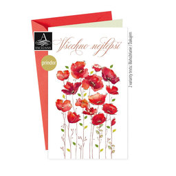 15-6457 Greeting card  CZ