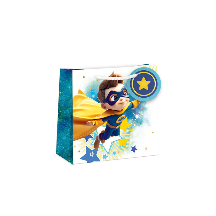 0727-0817 Gift bag Shiny