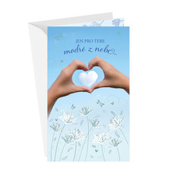 15-6537 Greeting card CZ