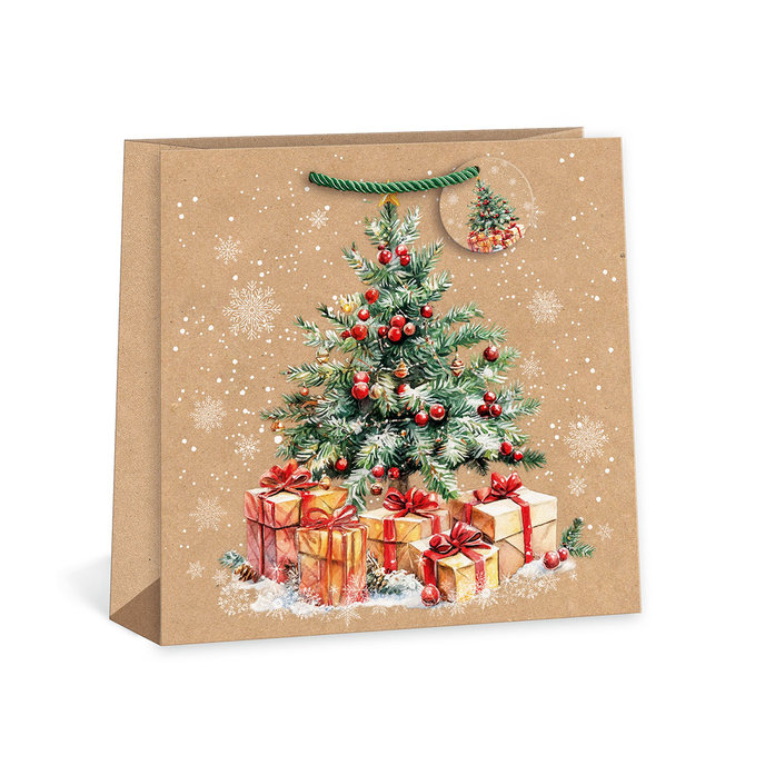 0885-0011 Gift bag SQUARE