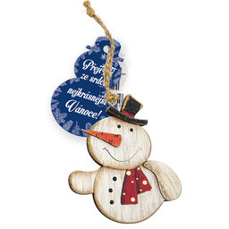 2336-1008 Christmas decoration CZ