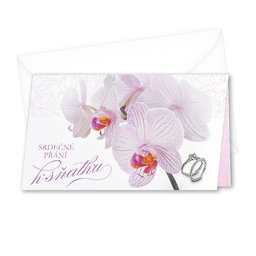 13-6091 Wedding greeting card with money flap CZ