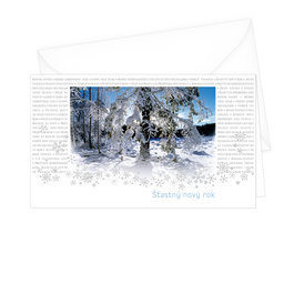 11-783 Christmas greeting card CZ