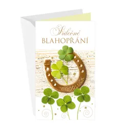 15-6544 Blahoprajná karta gratulační CZ