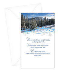 N-1-064 Christmas greeting card CZ