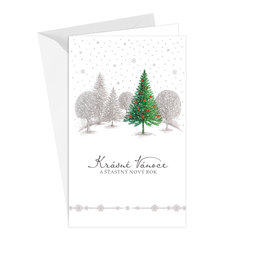 11-6481 Christmas greeting card CZ