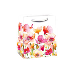 0747-0697 Gift bag