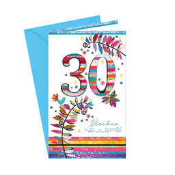 15-6309 Greeting card CZ