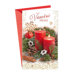 11-6394 Christmas greeting card CZ with leap