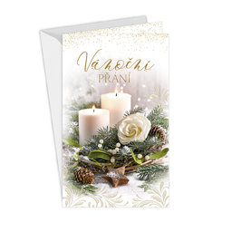 11-6453 Christmas greeting card CZ