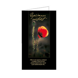 14-712 Condolences card CZ