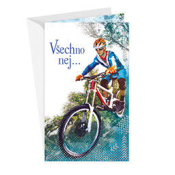 15-6477 Greeting card  CZ