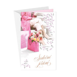 15-6597 Blahopřání gratulační klopa na peníze CZ