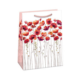 0757-0667 Gift bag PUV