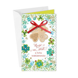 15-6480 Greeting card  CZ