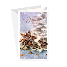 11-6548 Christmas greeting card CZ