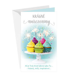 15-6542 Greeting card CZ