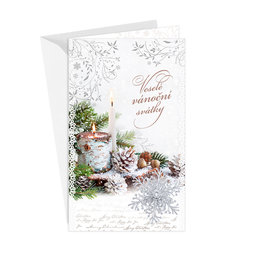 11-6549 Christmas greeting card CZ