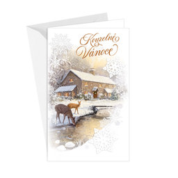 11-6464 Christmas greeting card CZ