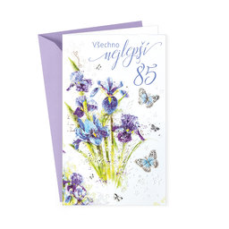 15-6385 Greeting card  CZ/85