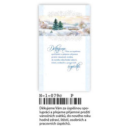 N-1-079 Christmas greeting card CZ