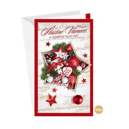 11-6522 Christmas greeting card with leap CZ