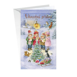 11-6438 Christmas greeting card with leap CZ