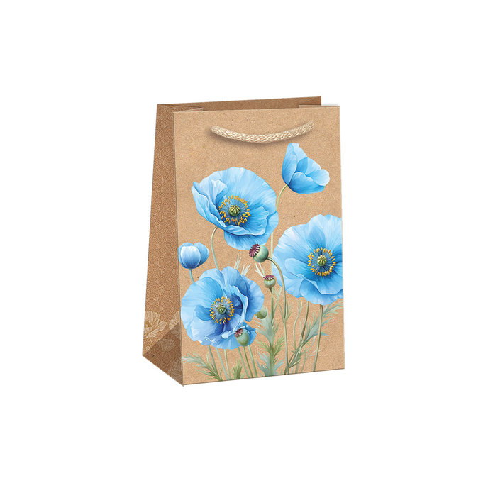 0714-0150 Dárková taška NATUR