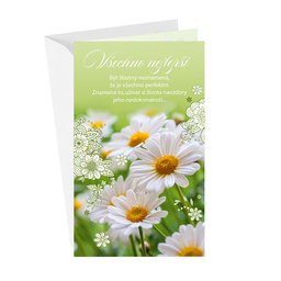 15-6538 Greeting card  CZ