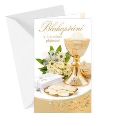 19-631  Greeting card CZ