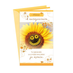 15-6419 nGreeting card  CZ