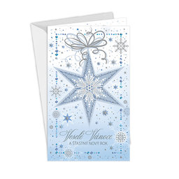 11-6489 Christmas greeting card CZ