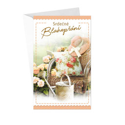 15-6443 Greeting card  CZ