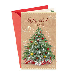 11-6493 Christmas greeting card card with leap CZ